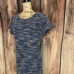 Banana Republic Blue and White Dress